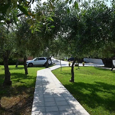 Апартаменты Sissy's San Antonio Thassos Потос