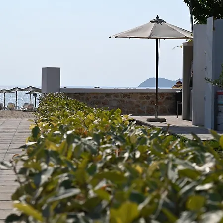 Sissy's San Antonio Thassos *